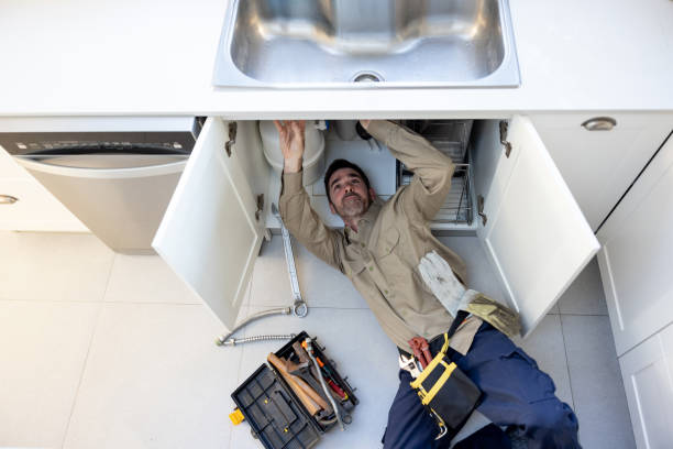 Best Best Plumbers Near Me  in Shepherd, MI