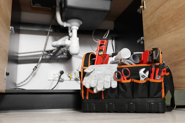 Best Local Plumber Services  in Shepherd, MI