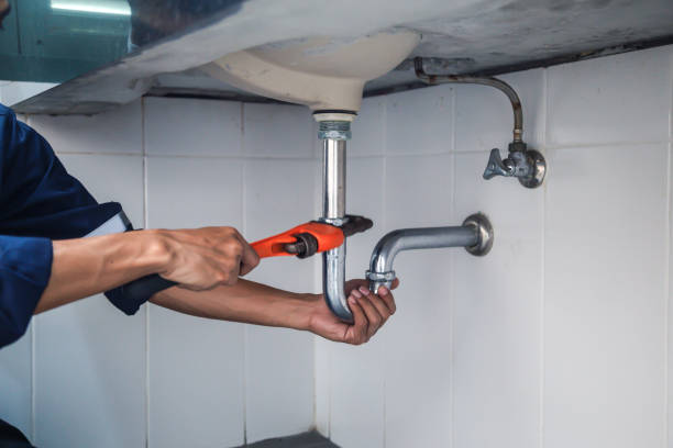 Best Clogged Drain Plumber  in Shepherd, MI