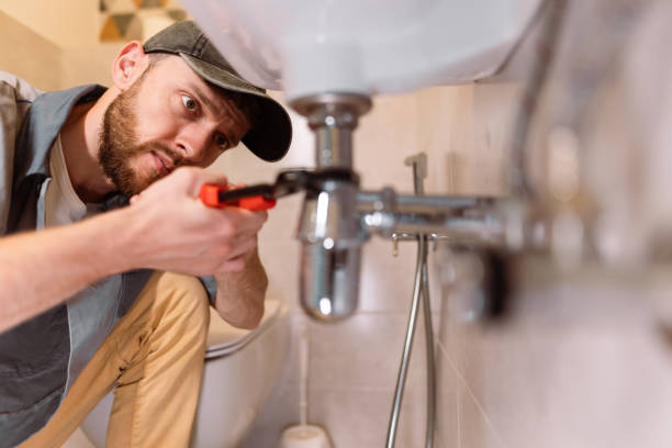 Trusted Shepherd, MI Plumbing Experts