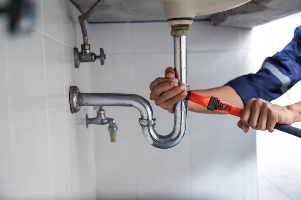 Best Faucet Repair  in Shepherd, MI