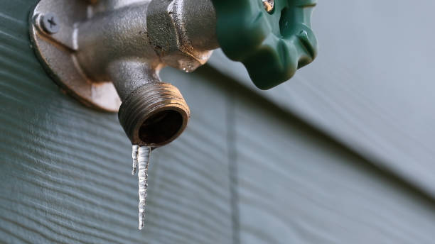 Best Affordable Plumber Near Me  in Shepherd, MI