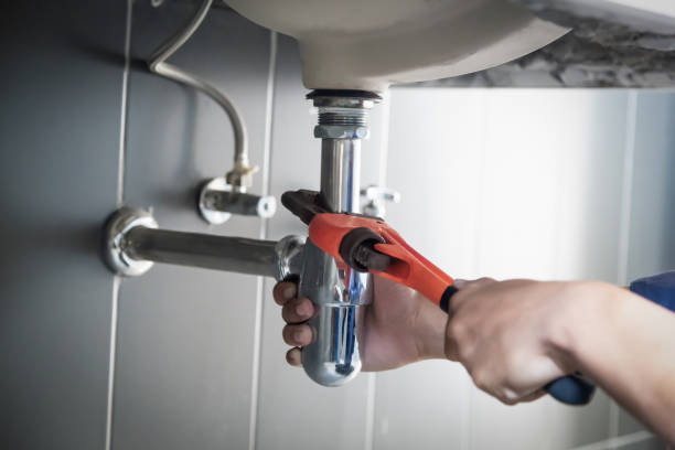 Best Same-Day Plumbing Service  in Shepherd, MI